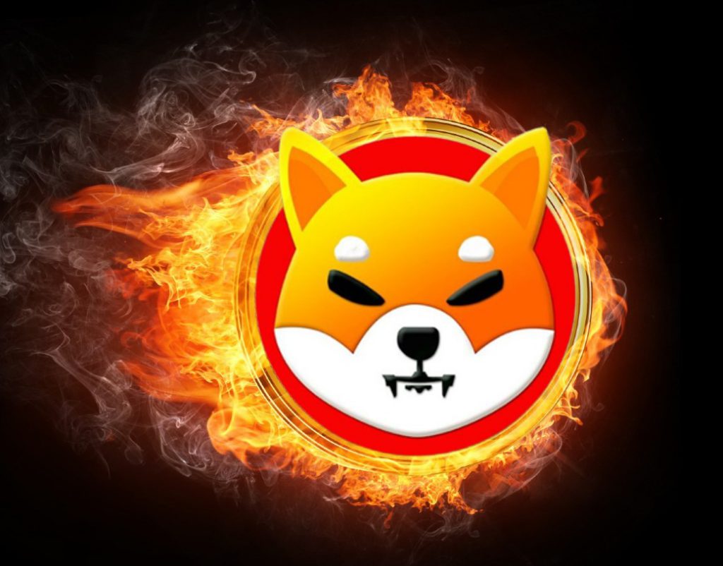 2026年柴犬(SHIB)的最高身高能达到多少?(2) 2026年柴犬(SHIB)的最高身高能达到多少?(2)